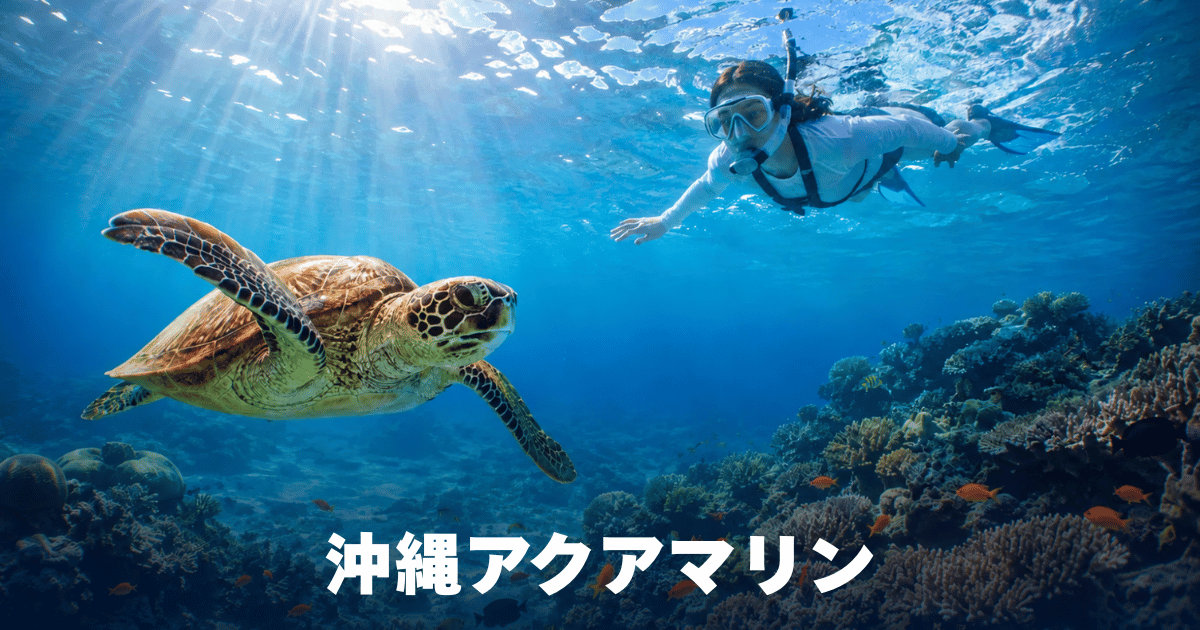 慶良間・チービシの海 | 沖縄アクアマリン